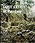Lost cities of Paraguay by Clement J. McNaspy