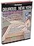 Delirious New York by Rem Koolhaas