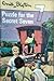 Puzzle For The Secret Seven (The Secret Seven, #10)