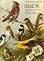 Thorburn's Birds by James      Fisher