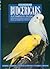 Budgerigars: A Complete Guide