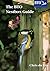 The BTO Nestbox Guide