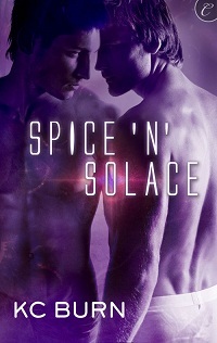 Spice ‘n’ Solace (Galactic Alliance #1)
