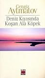 Deniz Kıyısında Koşan Ala Köpek