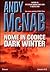 Nome in Codice Dark Winter by Andy McNab