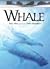 Whale