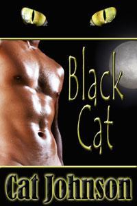 Black Cat (ebook)