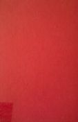 Mary Shall Reign (Hardcover)