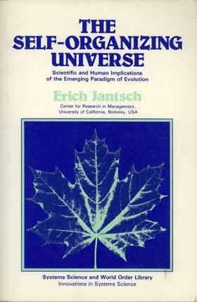 The Self-Organizing Universe: Scientific and Human Implications (Paperback)