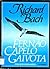 Fernão Capelo Gaivota by Richard Bach