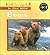Bears (In the Wild)