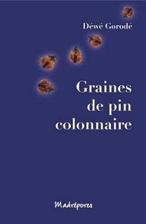 Graines de Pin Colonnaire