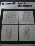 Teoria del campo (Paperback)