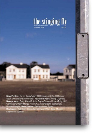 The Stinging Fly Issue 1/Volume 2 Summer 2005 (Paperback)