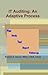 IT Auditing: An Adaptive Pr...