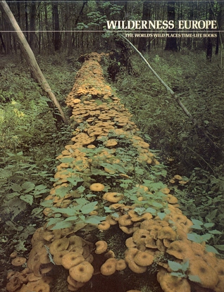 Wilderness Europe (World's Wild Places)