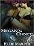 Megan's Choice (A Lady's Choice Story) Readers Choose what Megan does!