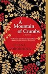 A Mountain of Crumbs