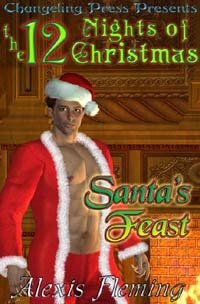 Santa's Feast (ebook)