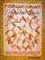 Simple Stars Beautiful Quilts by Debbie Maddy