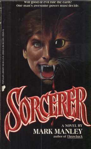 Sorcerer (Paperback)