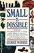 Small is Possible
