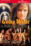 Going Wilde (The Brothers of Wilde, Nevada #1)