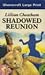 The Shadowed Reunion