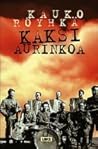 Kaksi aurinkoa by Kauko Röyhkä