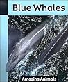 Blue Whales (Amazing Animals Series)