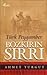 Türk Peygamber Bozkırın Sırrı by Ahmet Turgut