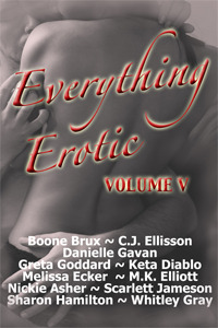 Everything Erotic Volume V (Nook)