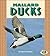 Mallard Ducks (Pull Ahead B...
