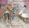 First Snow in the Woods by Carl R. Sams II