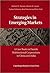 Strategies in Emerging Markets: A Case Book on Danish Multinational Corporations in China and India