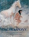 The Mud Pony by Caron Lee Cohen