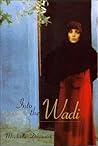 Into the Wadi