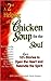 A 2nd Helping of Chicken Soup for the Soul: 101 More Stories to Open the Heart and Rekindle the Spirit