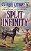 Split Infinity (Apprentice Adept, #1)