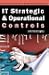 It Strategic and Operational Controls