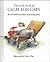 The Little Book of Calm for Cats by Stuart Macfarlane