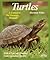 Turtles: A Complete Pet Owner's Guide