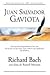 Juan Salvador Gaviota by Richard Bach