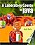 A Laboratory Course in Java: .