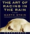 The Art of Racing in the Rain by Garth Stein