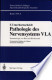 Traumatologie von Hirn und Rückenmark a (Spezielle pathologische Anatomie / Pathologie des Nervensystems) (German Edition)
