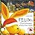 Felix's Christmas Around the World [With 5 Envelopes W/ Letters] by Annette Langen