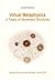 Virtual Metaphysics. A Trea...