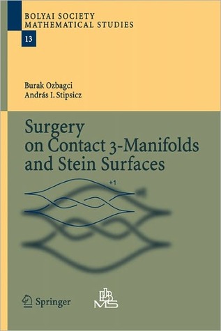 Surgery on Contact 3-Manifolds and Stein Surfaces (Bolyai Society Mathematical Studies)