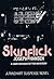 Skinflick (Dave Brandstetter, #5)
